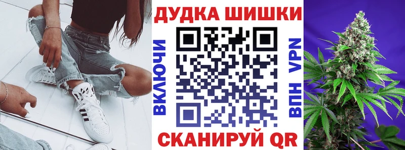 Шишки марихуана конопля  что такое   Лениногорск 
